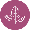 icon-leaf-1