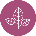 icon-leaf