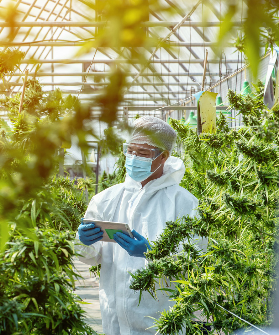 Cannabis-Facility-Solutions-for-Key-Systems Cannabis-Facility-Solutions-for-Key-Systems