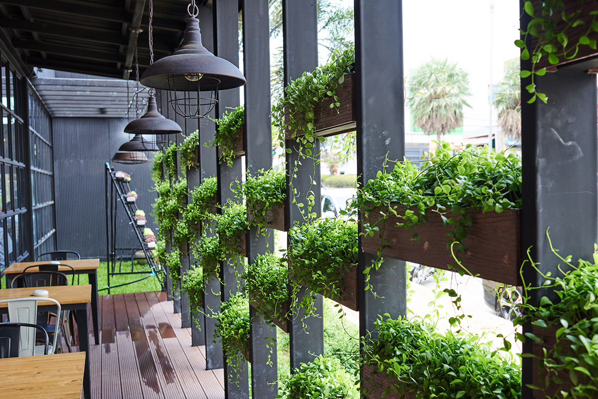 building-plants building-plants